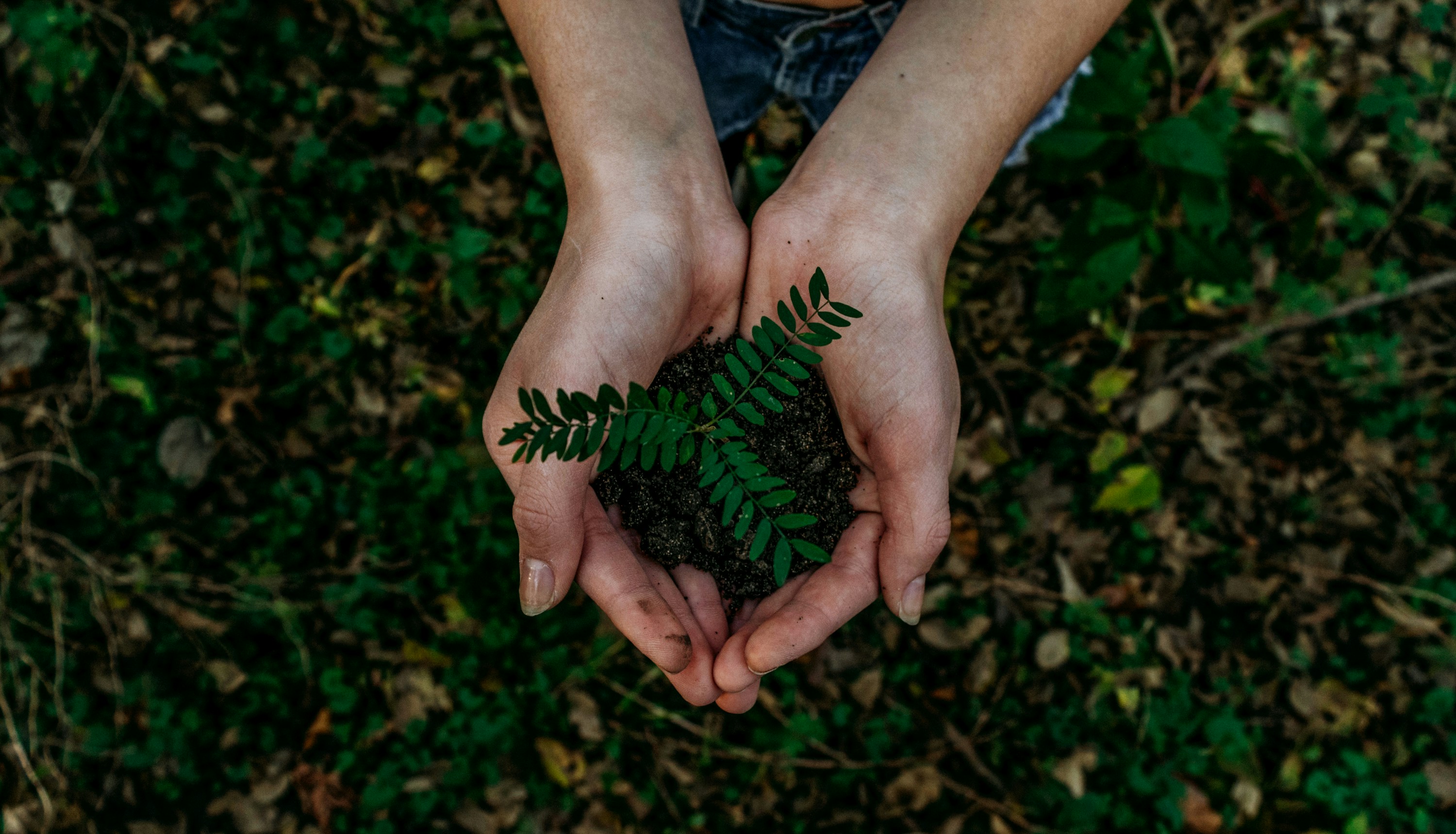 Environmental Excellence